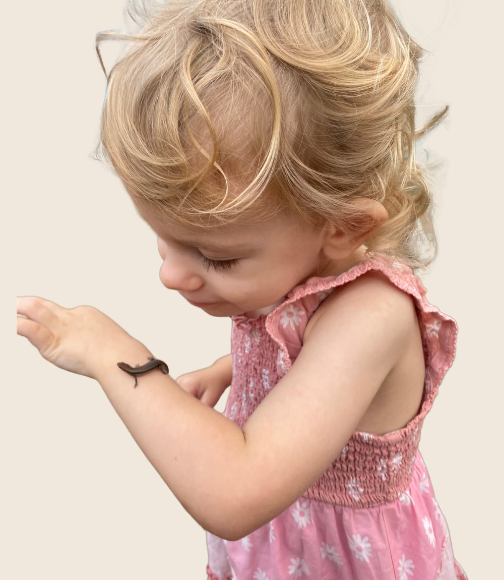 A young child watching a small lizard on her arm